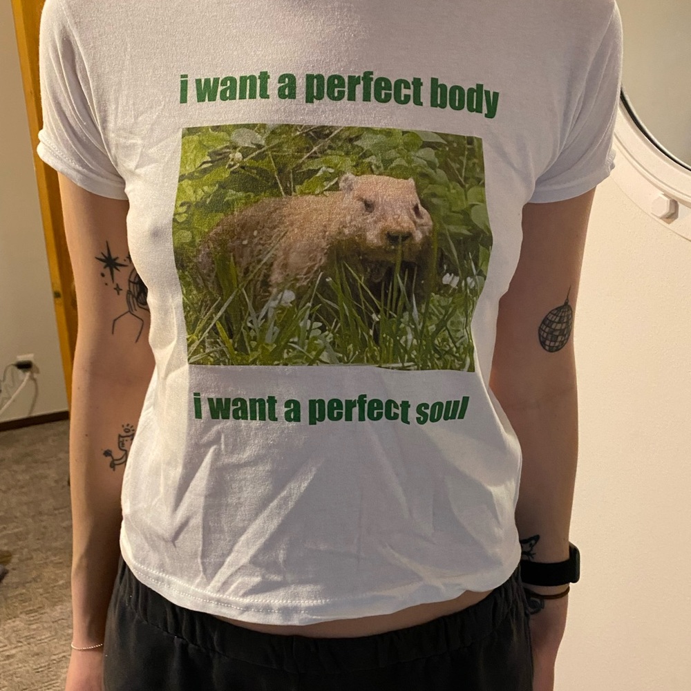 silly hedgehog shirt